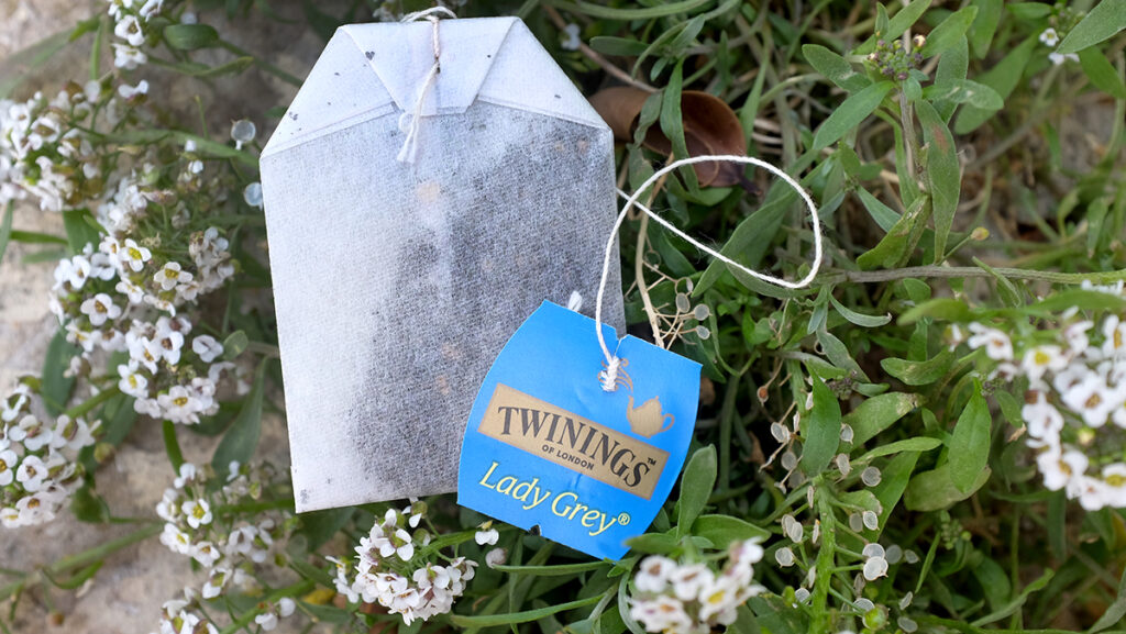 Close-up of Twinings Lady Grey (International Blend) string and tag tea bag.